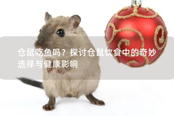 仓鼠吃鱼吗？探讨仓鼠饮食中的奇妙选择与健康影响