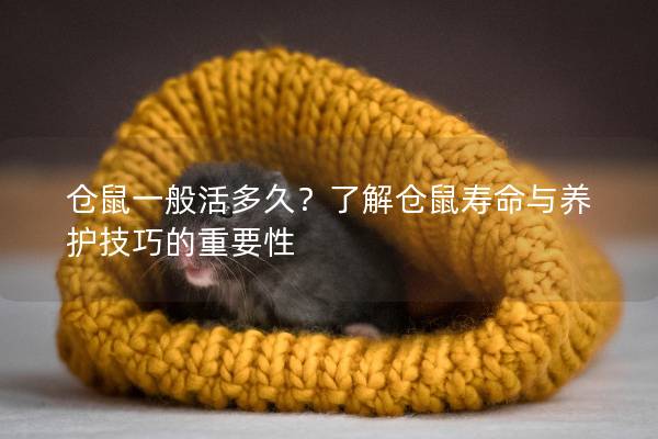 仓鼠一般活多久？了解仓鼠寿命与养护技巧的重要性
