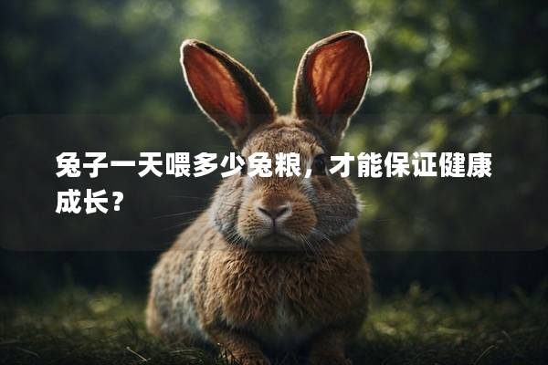 兔子一天喂多少兔粮，才能保证健康成长？