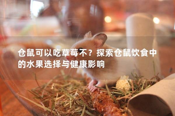 仓鼠可以吃草莓不？探索仓鼠饮食中的水果选择与健康影响