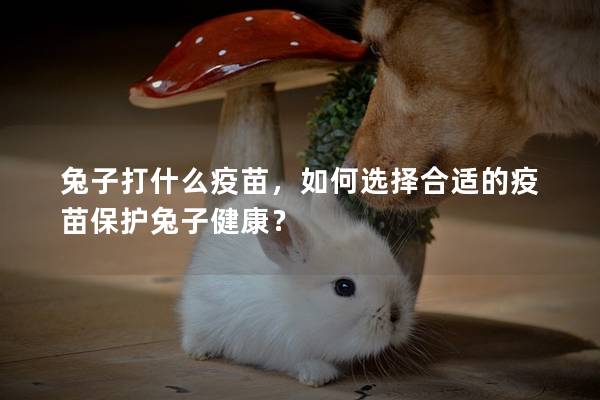 兔子打什么疫苗，如何选择合适的疫苗保护兔子健康？