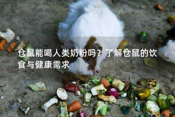 仓鼠能喝人类奶粉吗？了解仓鼠的饮食与健康需求