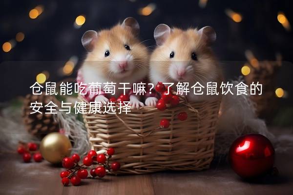 仓鼠能吃葡萄干嘛？了解仓鼠饮食的安全与健康选择