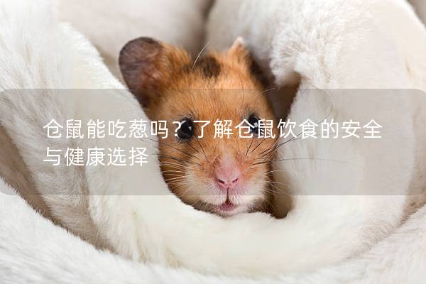 仓鼠能吃葱吗？了解仓鼠饮食的安全与健康选择
