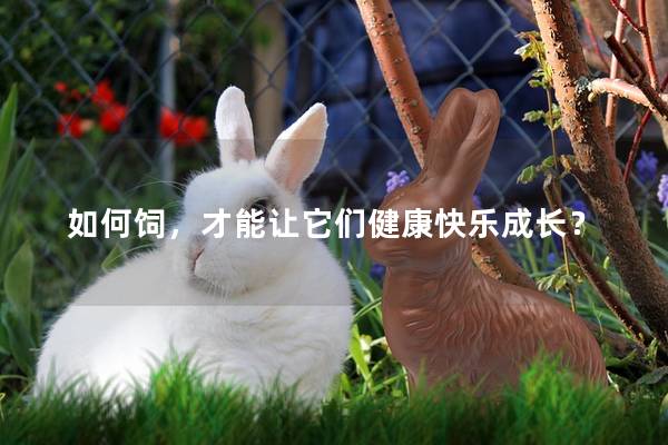 如何饲，才能让它们健康快乐成长？