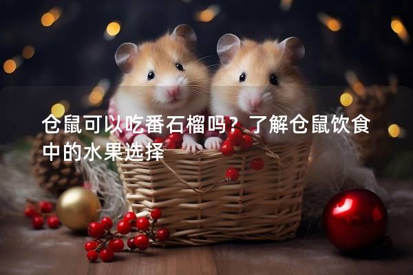 仓鼠可以吃番石榴吗？了解仓鼠饮食中的水果选择