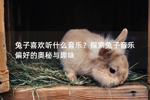 兔子喜欢听什么音乐？探索兔子音乐偏好的奥秘与趣味