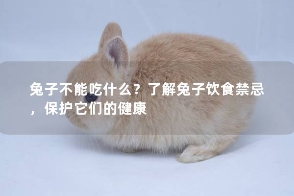兔子不能吃什么？了解兔子饮食禁忌，保护它们的健康