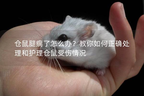 仓鼠腿瘸了怎么办？教你如何正确处理和护理仓鼠受伤情况