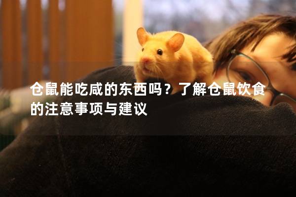 仓鼠能吃咸的东西吗？了解仓鼠饮食的注意事项与建议