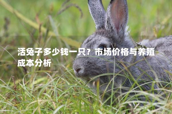 活兔子多少钱一只？市场价格与养殖成本分析