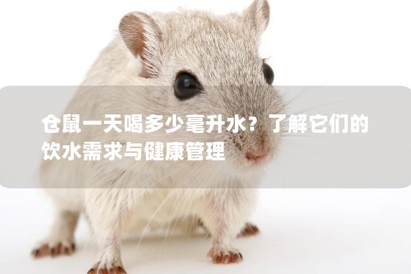 仓鼠一天喝多少毫升水？了解它们的饮水需求与健康管理
