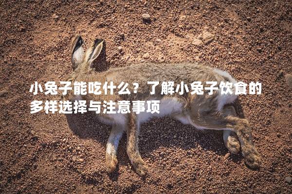 小兔子能吃什么？了解小兔子饮食的多样选择与注意事项