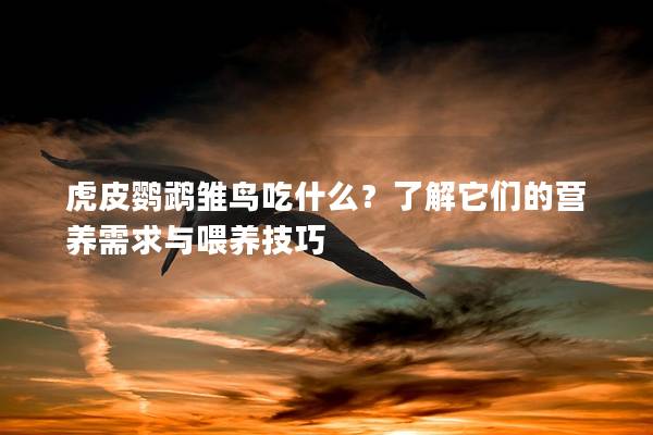 虎皮鹦鹉雏鸟吃什么？了解它们的营养需求与喂养技巧