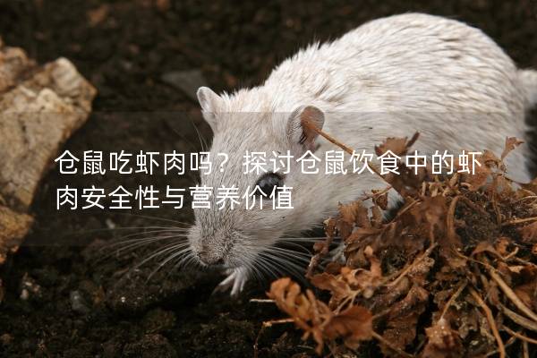 仓鼠吃虾肉吗？探讨仓鼠饮食中的虾肉安全性与营养价值