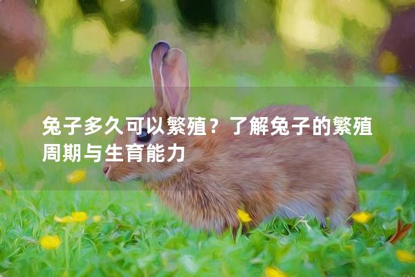 兔子多久可以繁殖？了解兔子的繁殖周期与生育能力