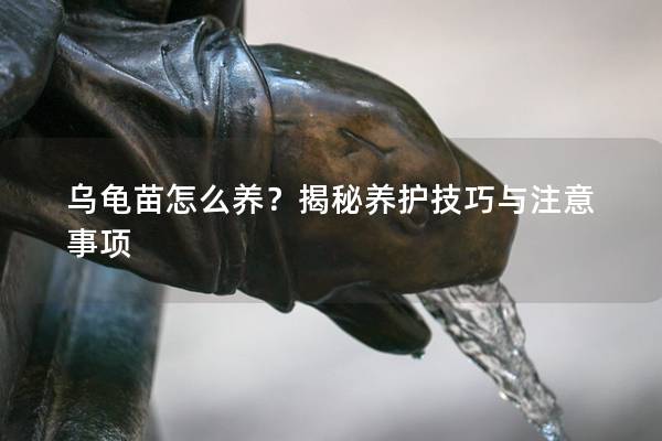 乌龟苗怎么养？揭秘养护技巧与注意事项
