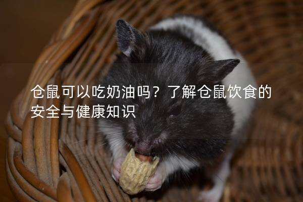 仓鼠可以吃奶油吗？了解仓鼠饮食的安全与健康知识