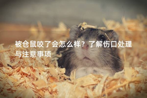 被仓鼠咬了会怎么样？了解伤口处理与注意事项