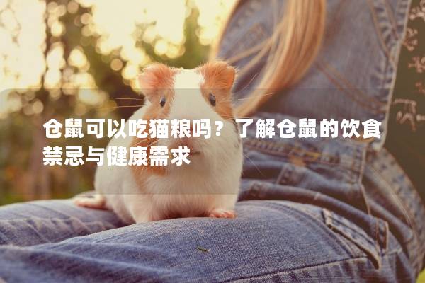 仓鼠可以吃猫粮吗？了解仓鼠的饮食禁忌与健康需求