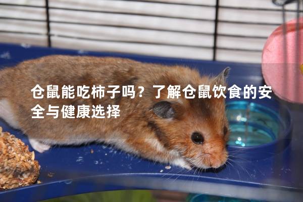 仓鼠能吃柿子吗？了解仓鼠饮食的安全与健康选择