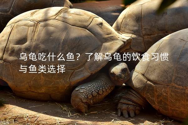 乌龟吃什么鱼？了解乌龟的饮食习惯与鱼类选择