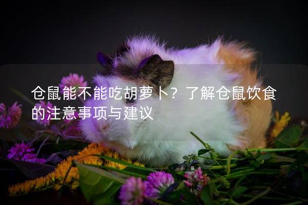仓鼠能不能吃胡萝卜？了解仓鼠饮食的注意事项与建议