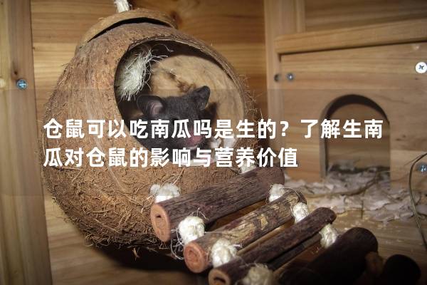 仓鼠可以吃南瓜吗是生的？了解生南瓜对仓鼠的影响与营养价值