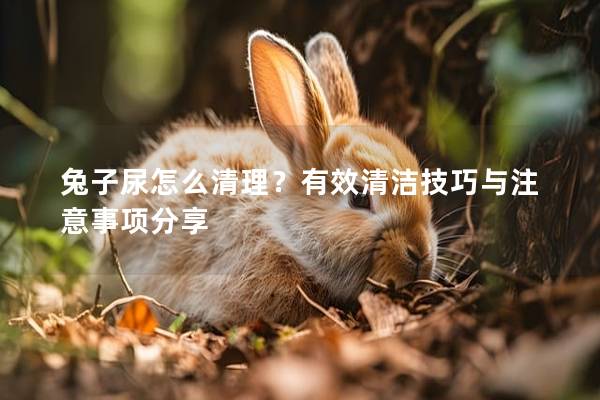兔子尿怎么清理？有效清洁技巧与注意事项分享