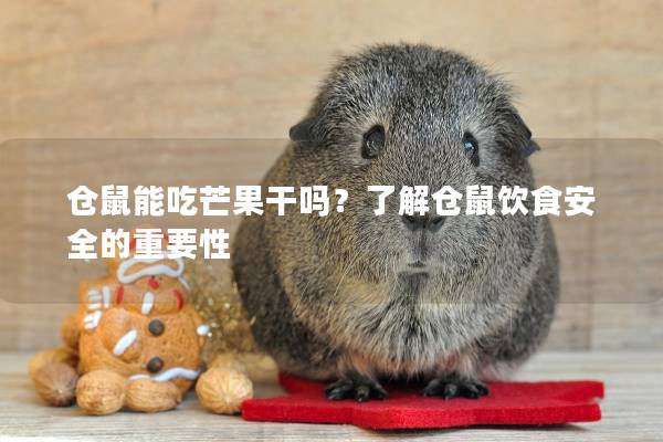 仓鼠能吃芒果干吗？了解仓鼠饮食安全的重要性
