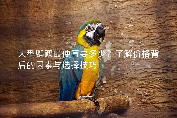 大型鹦鹉最便宜要多少？了解价格背后的因素与选择技巧