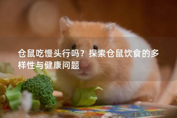 仓鼠吃馒头行吗？探索仓鼠饮食的多样性与健康问题