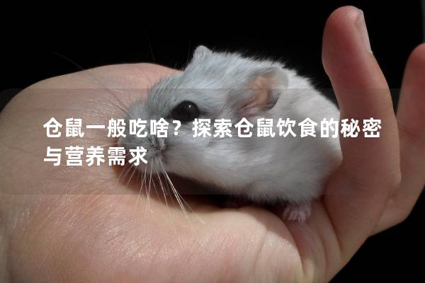 仓鼠一般吃啥？探索仓鼠饮食的秘密与营养需求