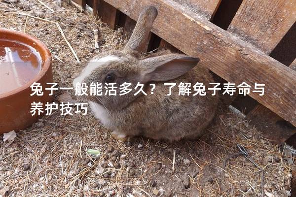 兔子一般能活多久？了解兔子寿命与养护技巧