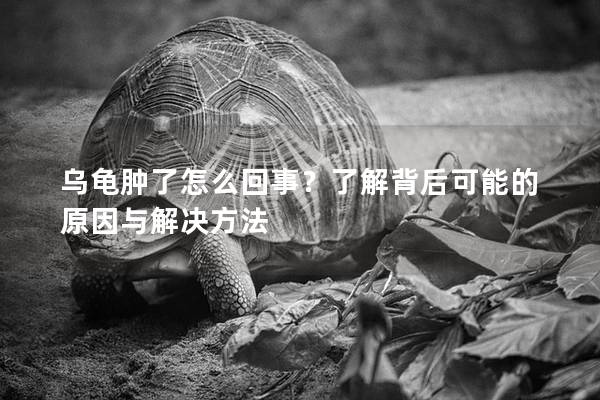 乌龟肿了怎么回事？了解背后可能的原因与解决方法