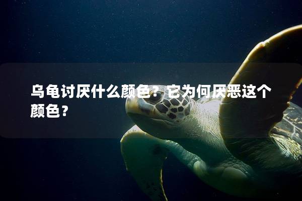 乌龟讨厌什么颜色？它为何厌恶这个颜色？
