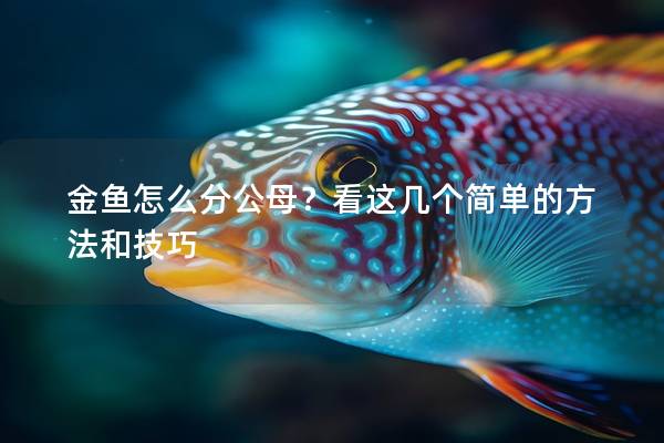 金鱼怎么分公母？看这几个简单的方法和技巧