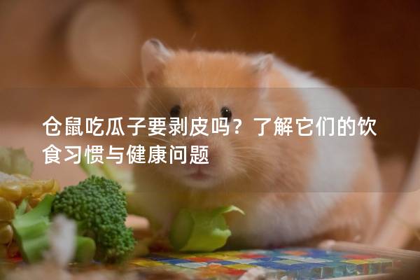 仓鼠吃瓜子要剥皮吗？了解它们的饮食习惯与健康问题
