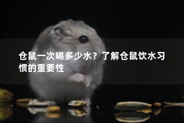 仓鼠一次喝多少水？了解仓鼠饮水习惯的重要性