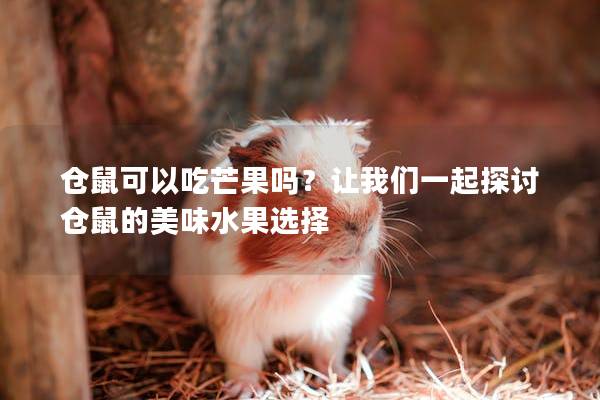 仓鼠可以吃芒果吗？让我们一起探讨仓鼠的美味水果选择