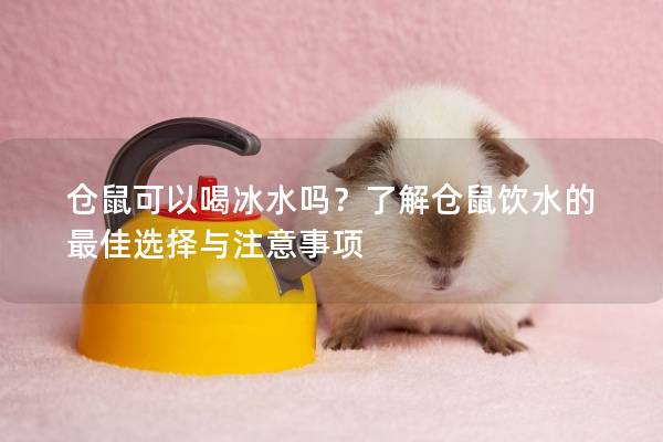 仓鼠可以喝冰水吗？了解仓鼠饮水的最佳选择与注意事项