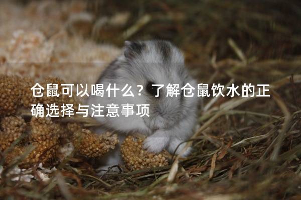 仓鼠可以喝什么？了解仓鼠饮水的正确选择与注意事项