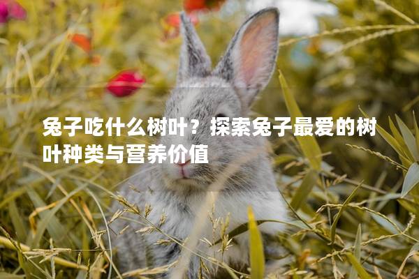 兔子吃什么树叶？探索兔子最爱的树叶种类与营养价值
