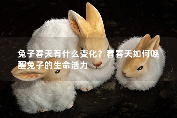 兔子春天有什么变化？看春天如何唤醒兔子的生命活力