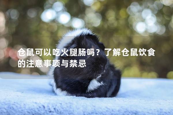 仓鼠可以吃火腿肠吗？了解仓鼠饮食的注意事项与禁忌