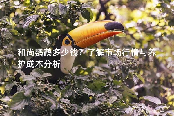 和尚鹦鹉多少钱？了解市场行情与养护成本分析