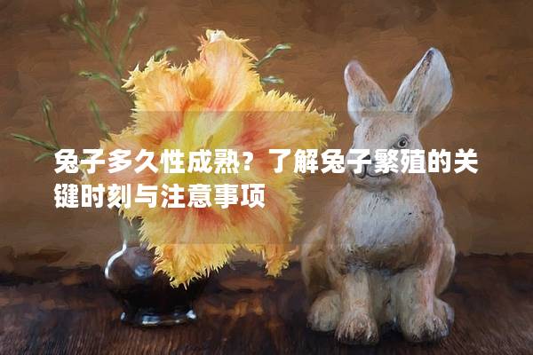 兔子多久性成熟？了解兔子繁殖的关键时刻与注意事项