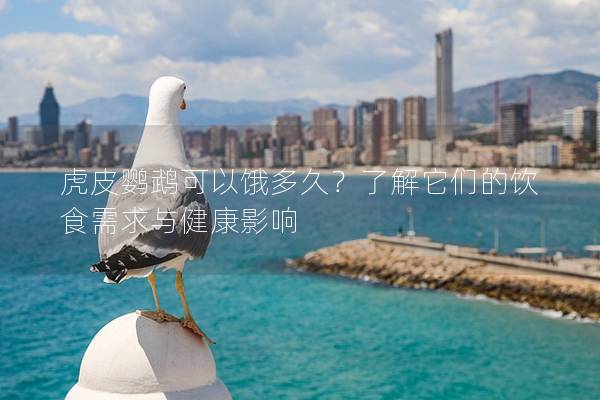虎皮鹦鹉可以饿多久？了解它们的饮食需求与健康影响