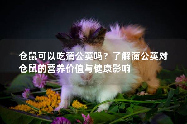 仓鼠可以吃蒲公英吗？了解蒲公英对仓鼠的营养价值与健康影响
