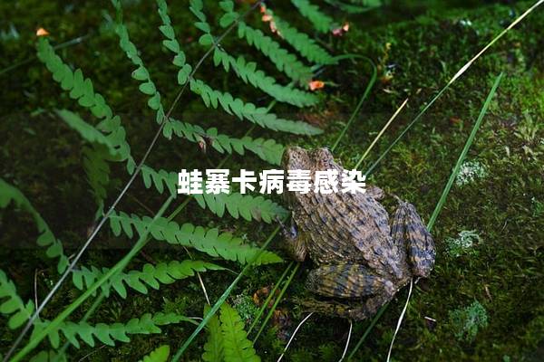 蛙寨卡病毒感染